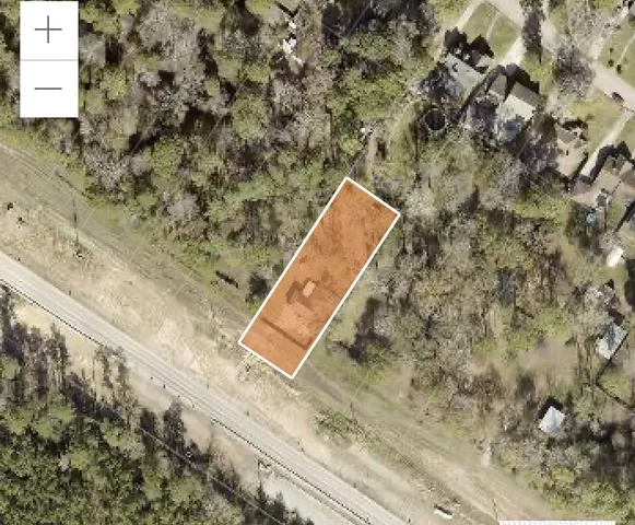 a view of a tree with sky