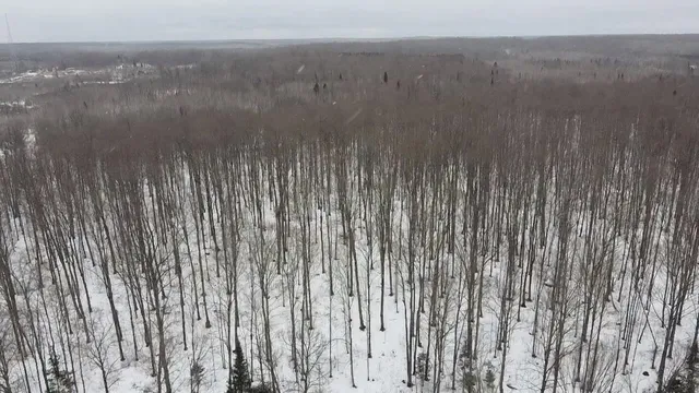 $84,628 | 70 Hwy Tipler Wi 54542, Unit 3, Long Lake, WI 54542