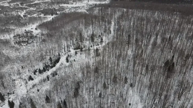 $84,628 | 70 Hwy Tipler Wi 54542, Unit 3, Long Lake, WI 54542