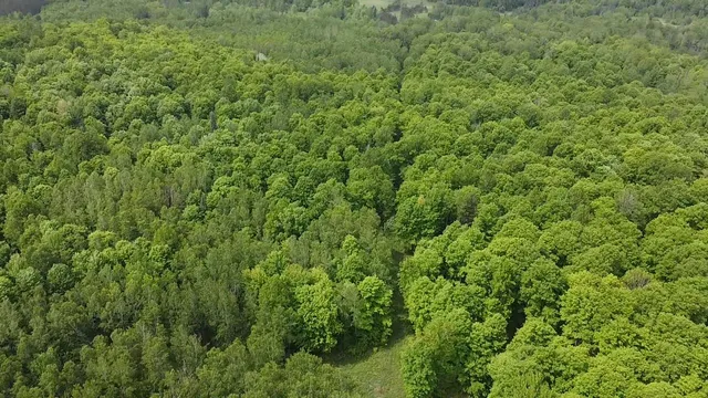 $84,628 | 70 Hwy Tipler Wi 54542, Unit 3, Long Lake, WI 54542