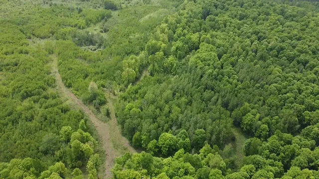 $84,628 | 70 Hwy Tipler Wi 54542, Unit 3, Long Lake, WI 54542