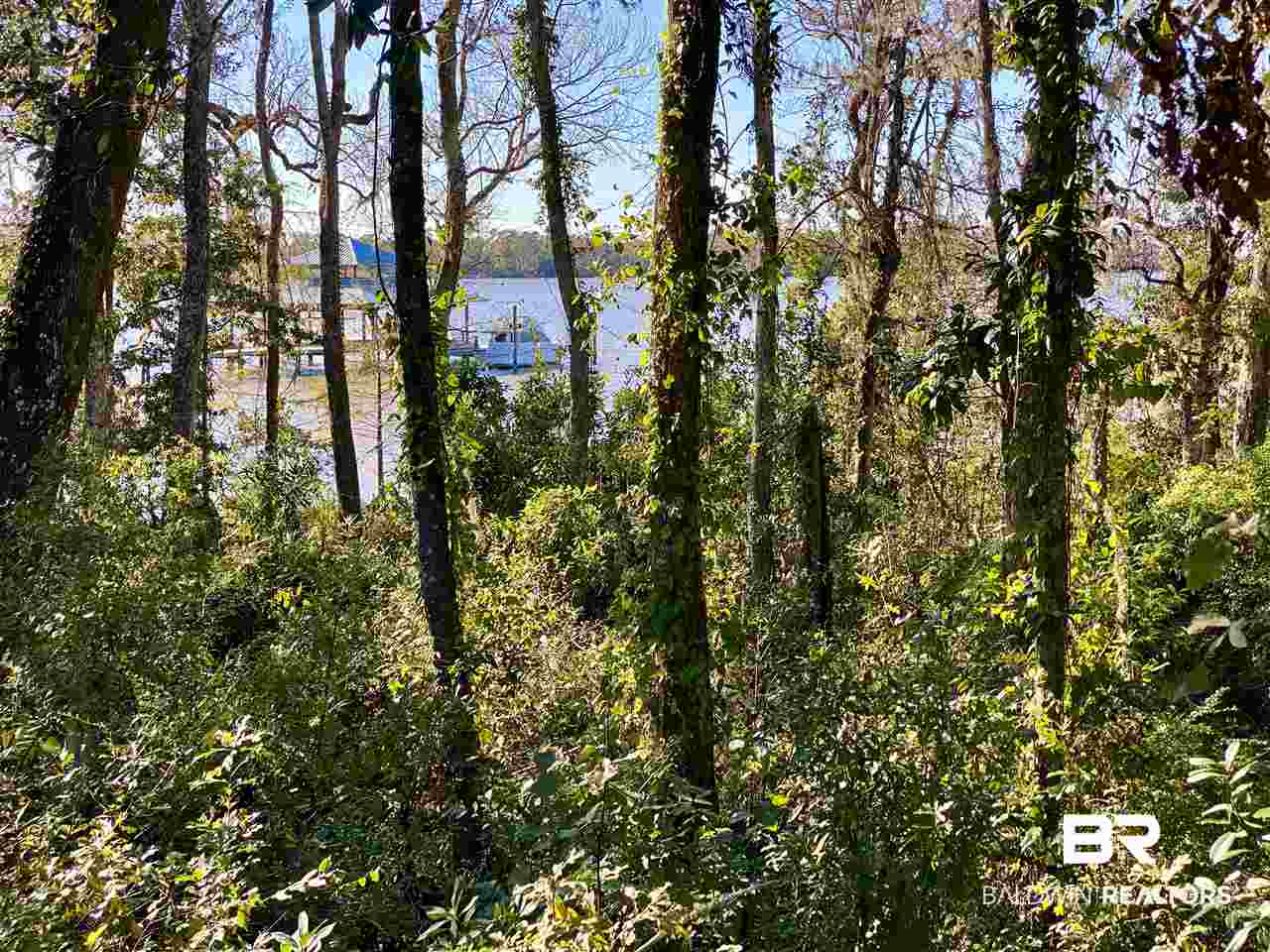 General Canby Loop Daphne, AL 36527 - Photo 7 of 10