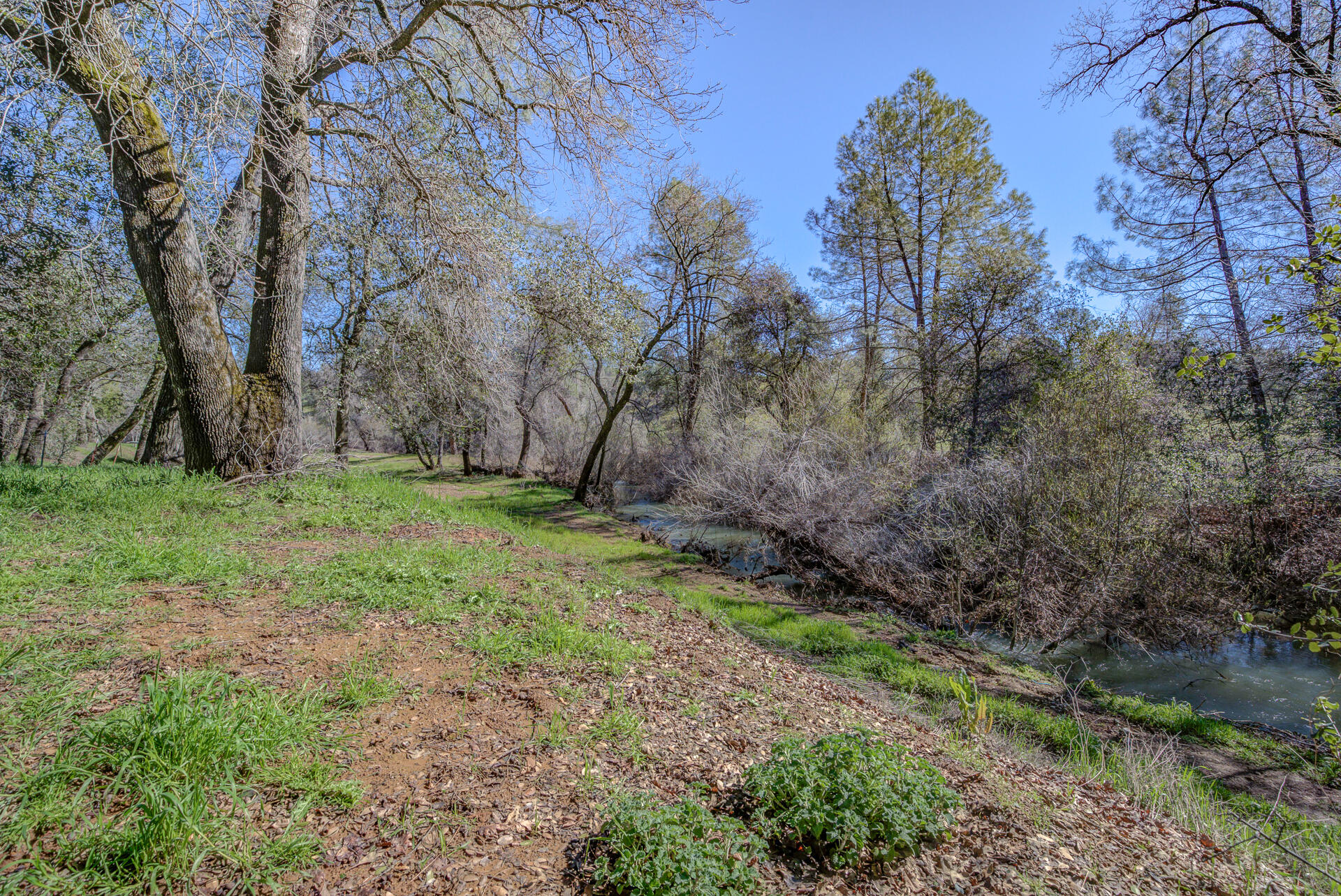 10063 Salmon Creek Road Redding, CA 96003 - Photo 24 of 28 10063SalmonCreek-34