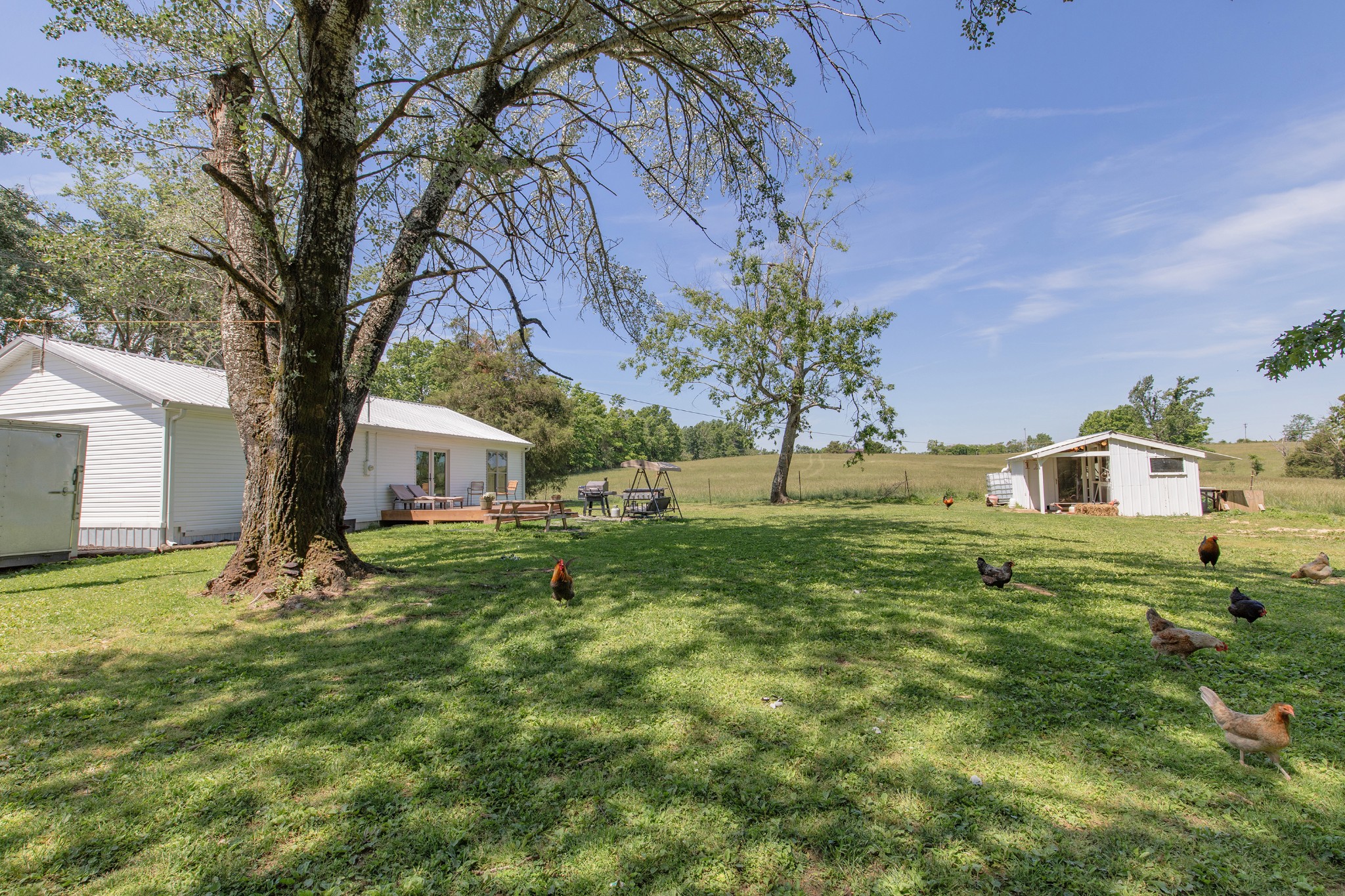 2976 Shrum Cemetery Road Westmoreland, TN 37186 - Photo 59 of 84