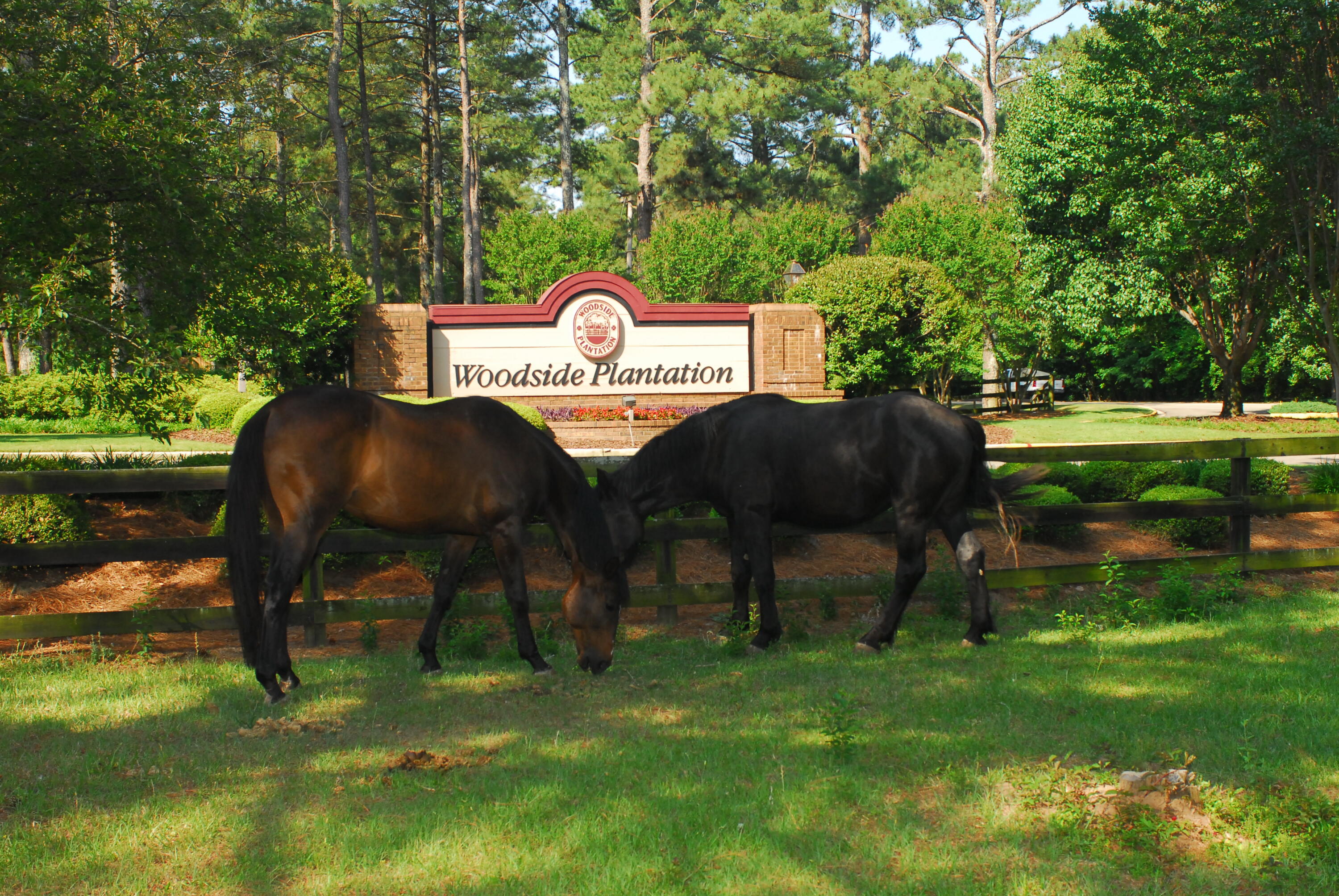 136 Holley Ridge Road Aiken, SC 29803 - Photo 35 of 39 Gallery Image 35