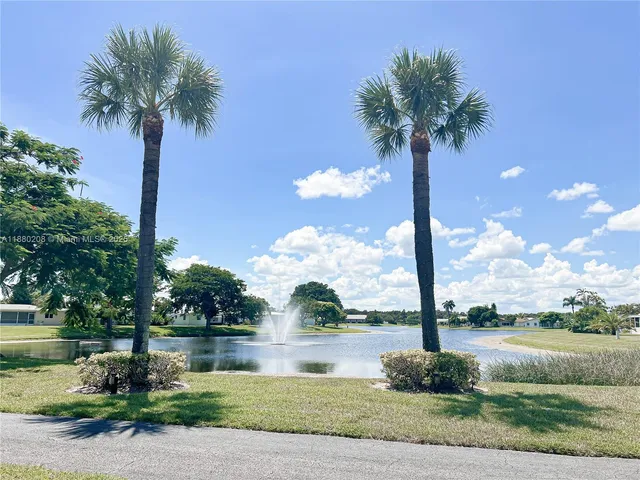 a front view of a lake with a palm tree and lake view