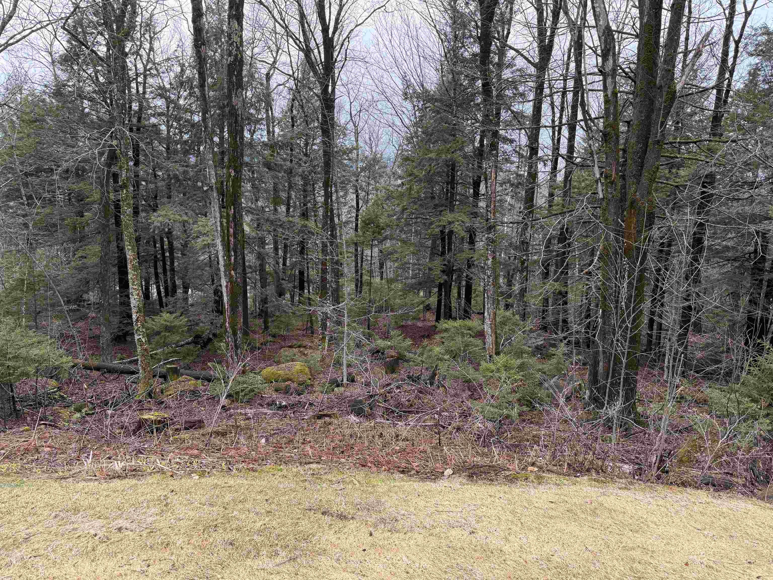 6 D White Oaks Loop, Unit 7 West Dover, VT 05356 - Photo 22 of 23