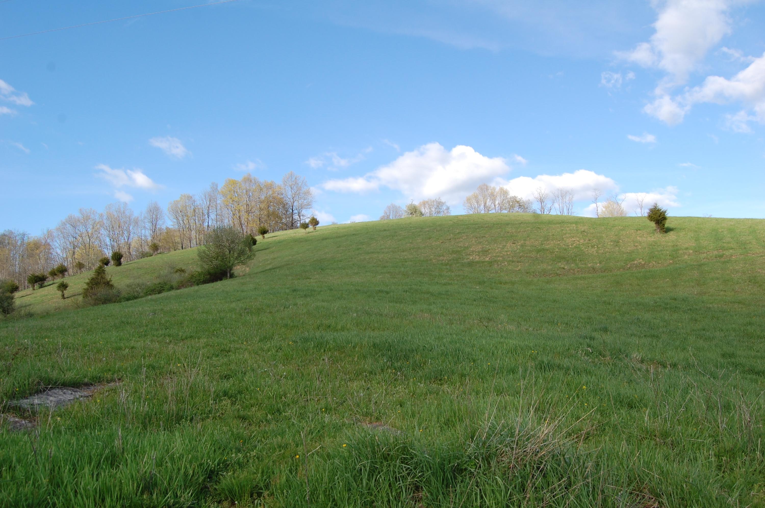 3846 Carroll Hill Road Lewisburg, WV 24901 - Photo 31 of 51 DSC_5352