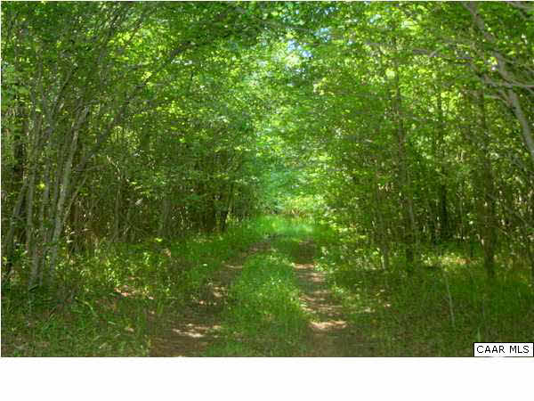 More trails leading throughout the property, this trail leads to the river.