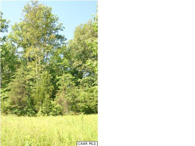 184 Taylor Road Cartersville, VA 23027 - Photo 8 of 12 The land is a great timber investment and has a good stand of hardwood timber.