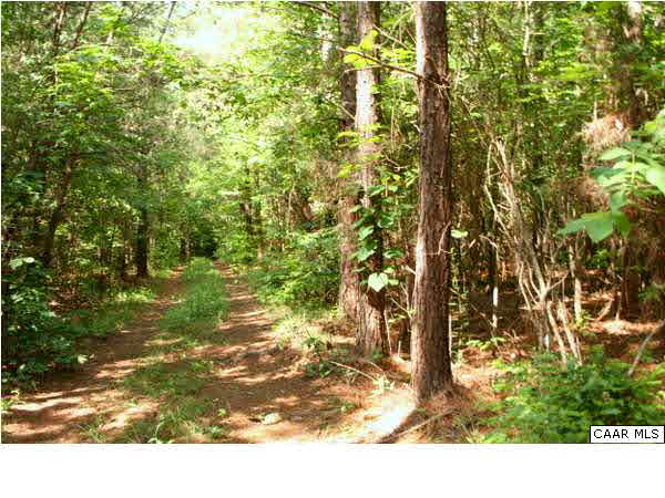 184 Taylor Road Cartersville, VA 23027 - Photo 9 of 12 60 to 70% of the property is in various ages of pine stands all needing a thinning offering an immediate return on your investment.