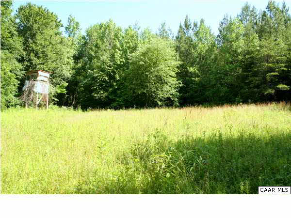 184 Taylor Road Cartersville, VA 23027 - Photo 10 of 12 The land has been hunted for years and has several areas for tree stands and food plots.