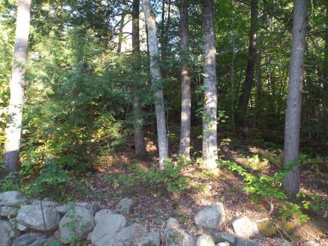 74 Beach Road Naples, ME 04055 - Photo 27 of 30 Private back yard