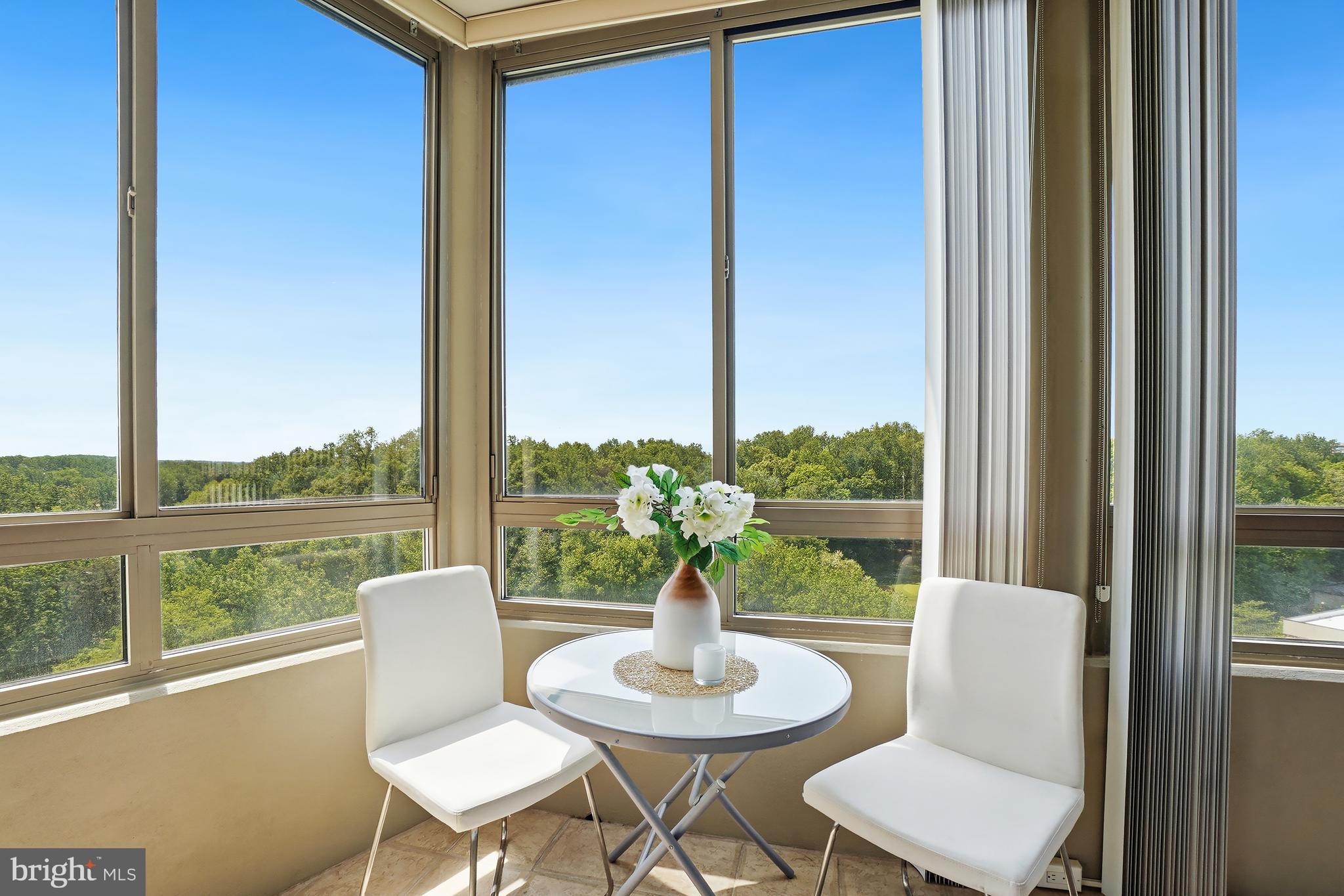 3210 North Leisure World Boulevard, Unit 1001 Silver Spring, MD 20906 - Photo 14 of 58 a view of a dining room with furniture window and outside view