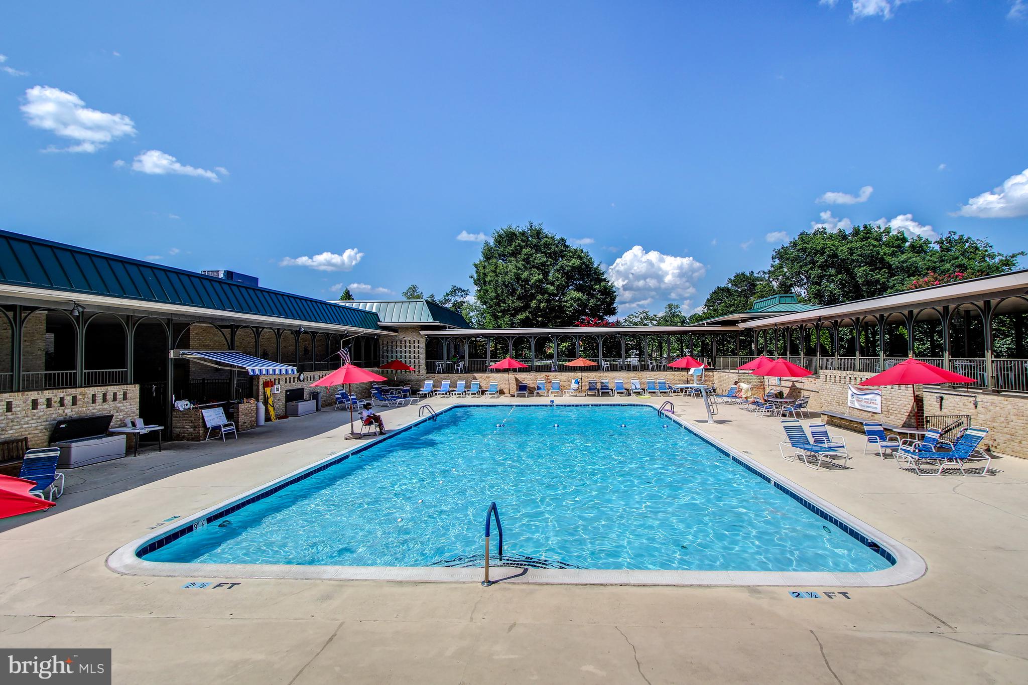 3210 North Leisure World Boulevard, Unit 1001 Silver Spring, MD 20906 - Photo 37 of 58 Outdoor pool and lanai.