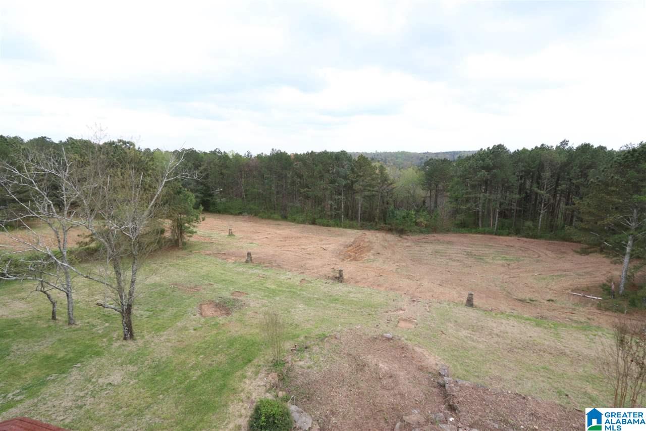 445 Annie Drive Oneonta, AL 35121 - Photo 22 of 40