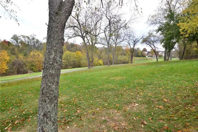 a view of outdoor space with trees all around