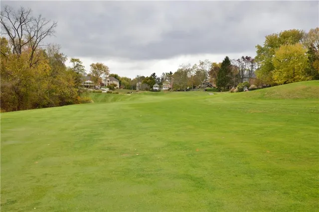 a view of a field with an trees