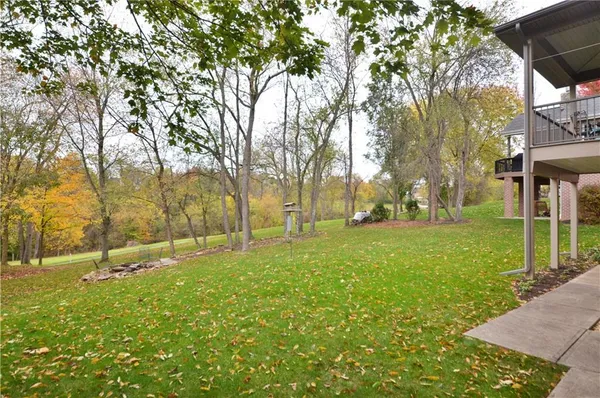 a view of a park with large trees
