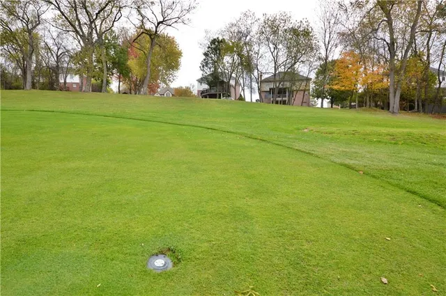 a big yard with trees in the background