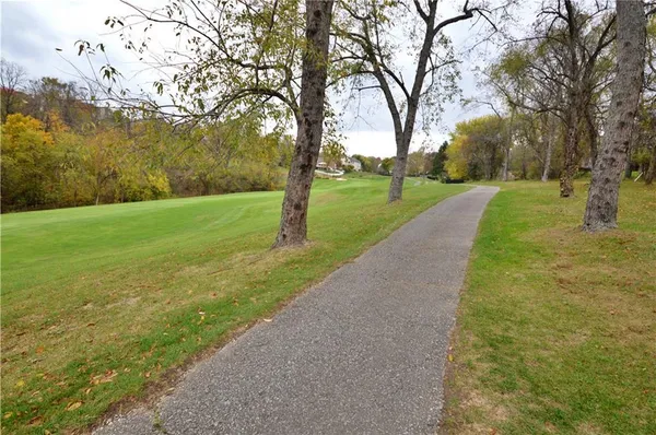 a view of a park with large trees