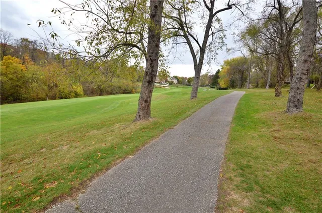 a view of a park with large trees