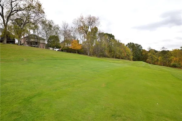 a view of a field with trees in the background