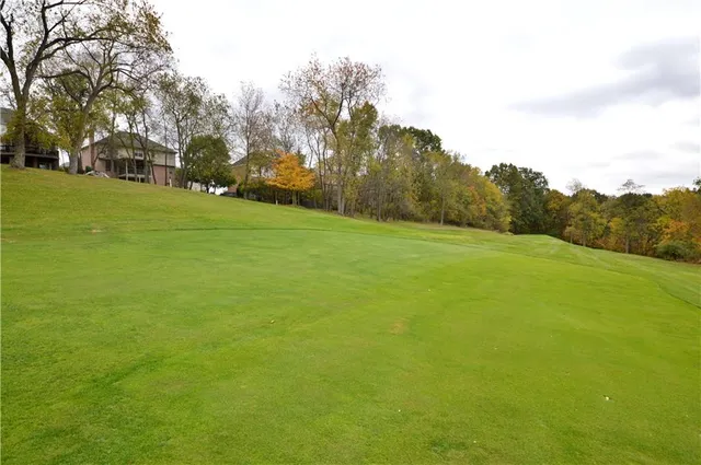 a view of a field with trees in the background