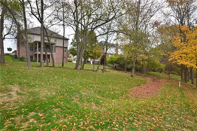a view of a park with large trees