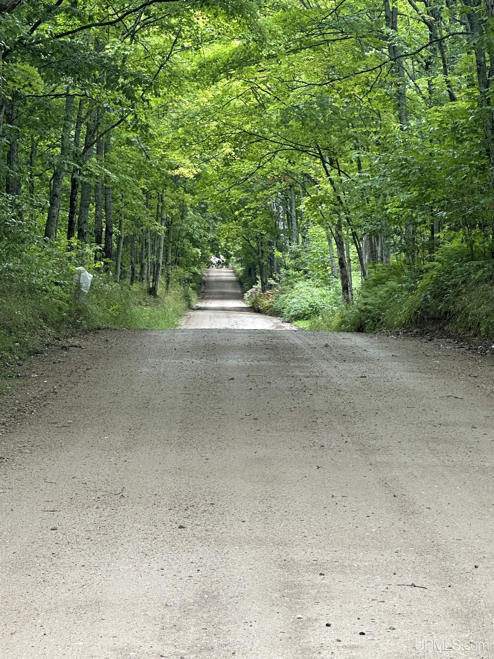 E2702 Country Lane Rd Road Eben Junction, MI 49825 - Photo 61 of 76