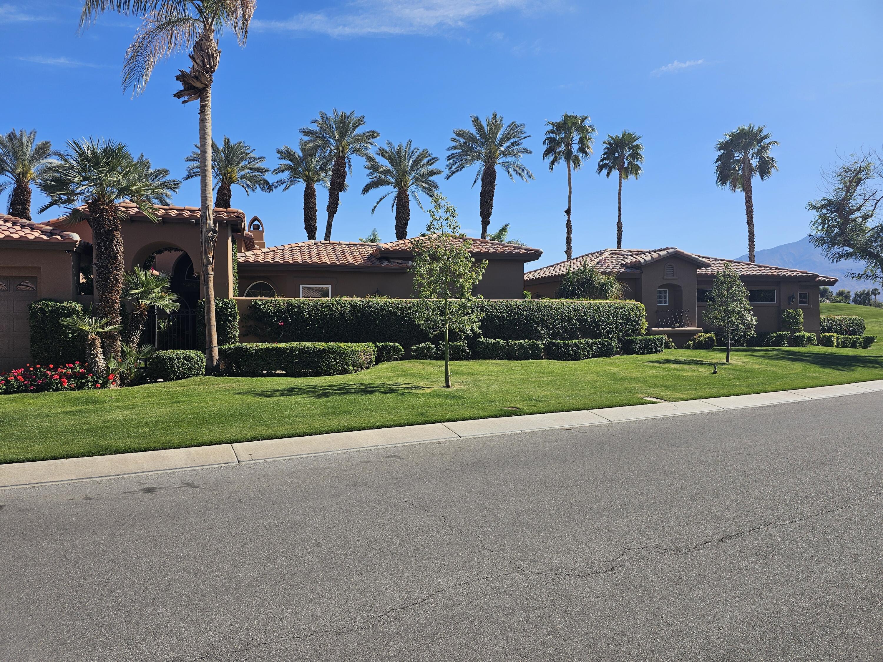 78815 Vía Carmel La Quinta, CA 92253 - Photo 37 of 74 a view of a yard with palm trees
