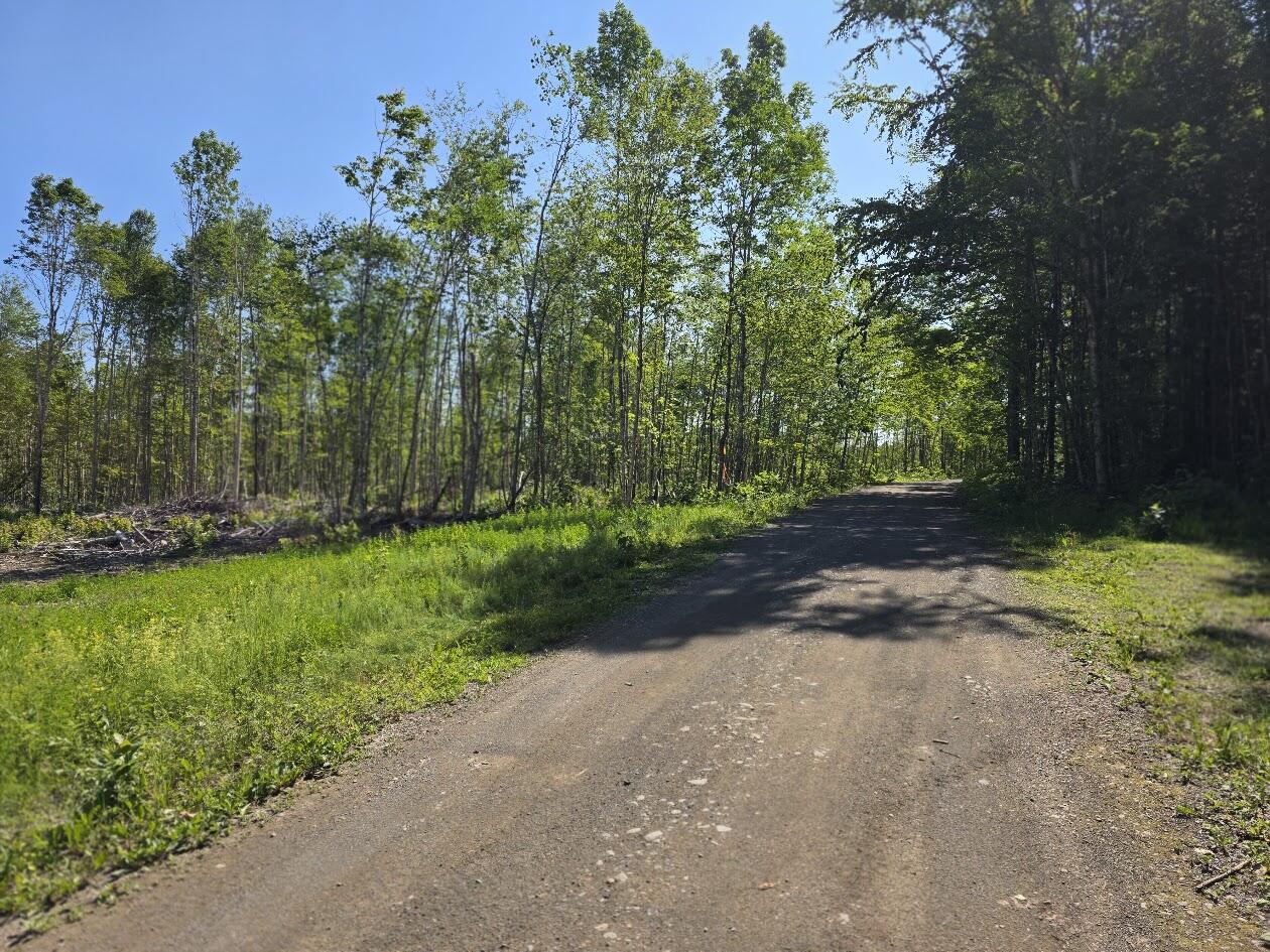 Lot 26 East Williams Road Amity, ME 04471 - Photo 2 of 6 20260716_092945