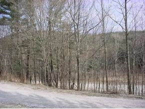 2533 N Road Castleton, VT 05732 - Photo 11 of 12