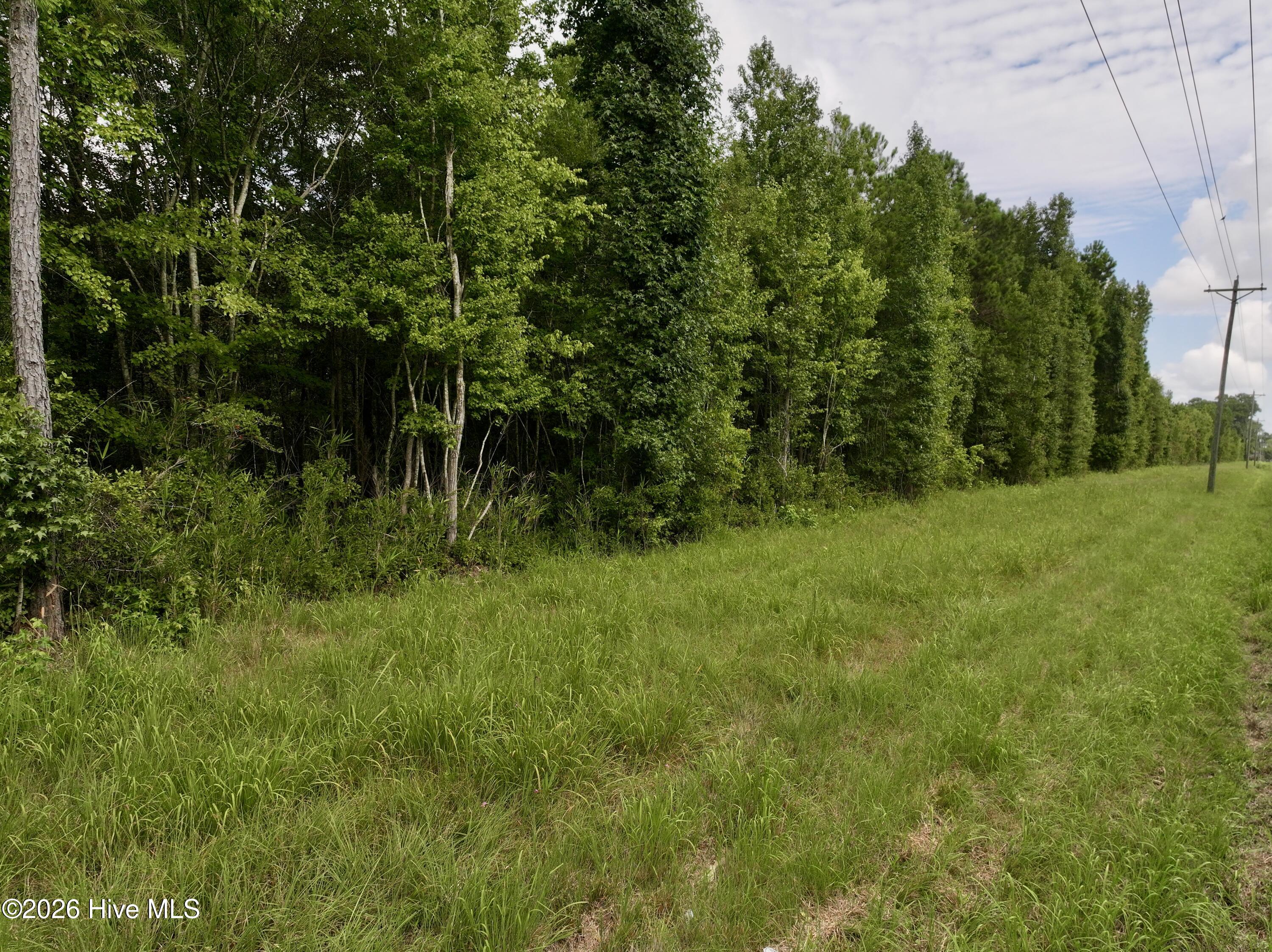 4 Cupelo Road Walstonburg, NC 27888 - Photo 12 of 16 Gallery Image 12