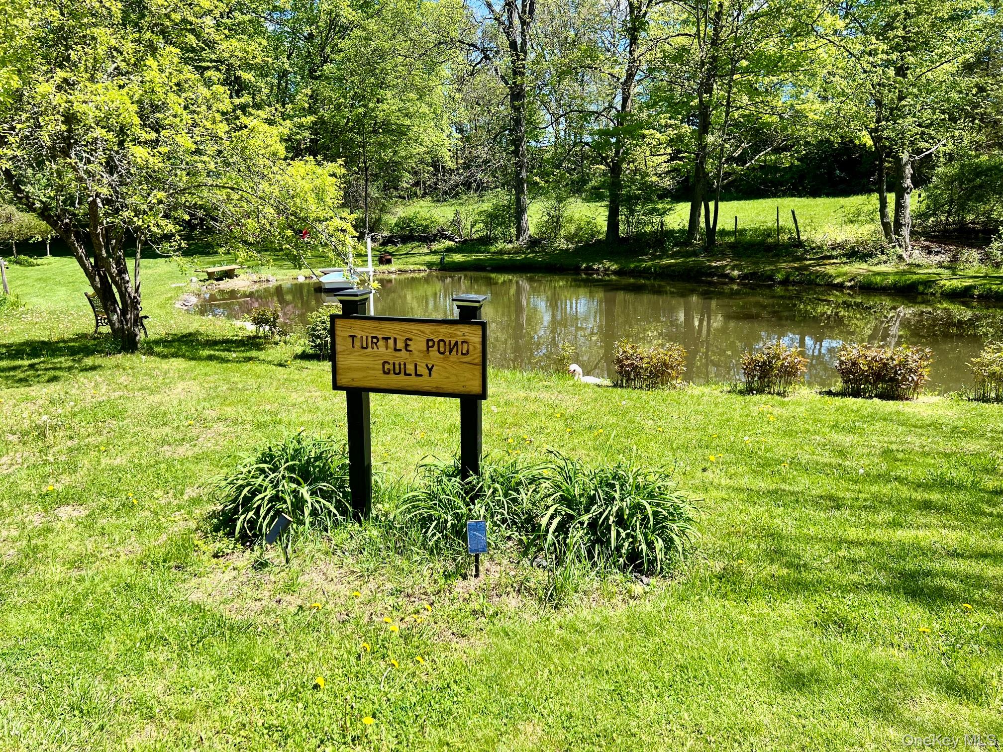145 Drake Road Pleasant Valley, NY 12569 - Photo 2 of 47 a view of a lake with a yard and large trees