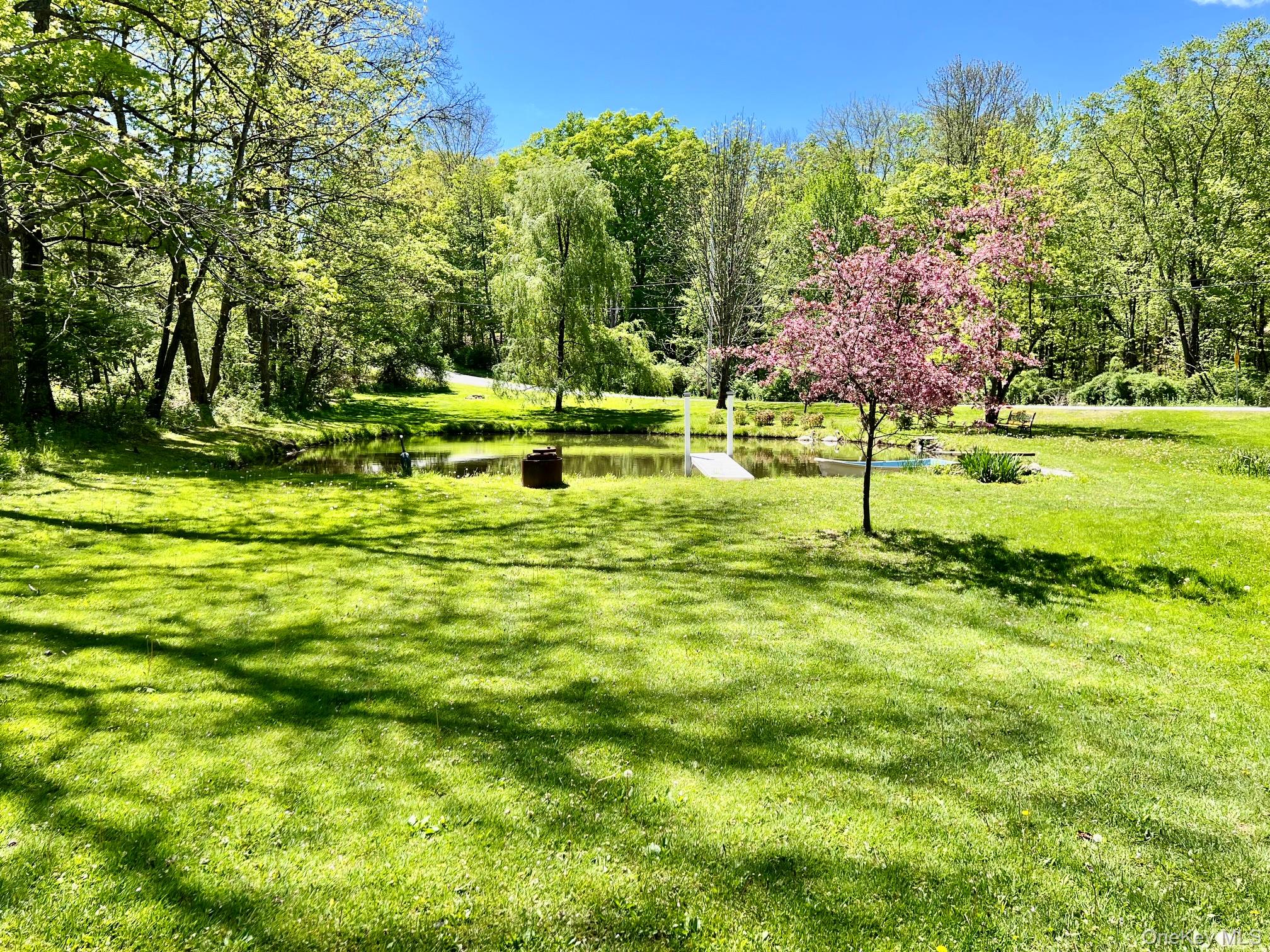 145 Drake Road Pleasant Valley, NY 12569 - Photo 45 of 47 a view of a park with large trees