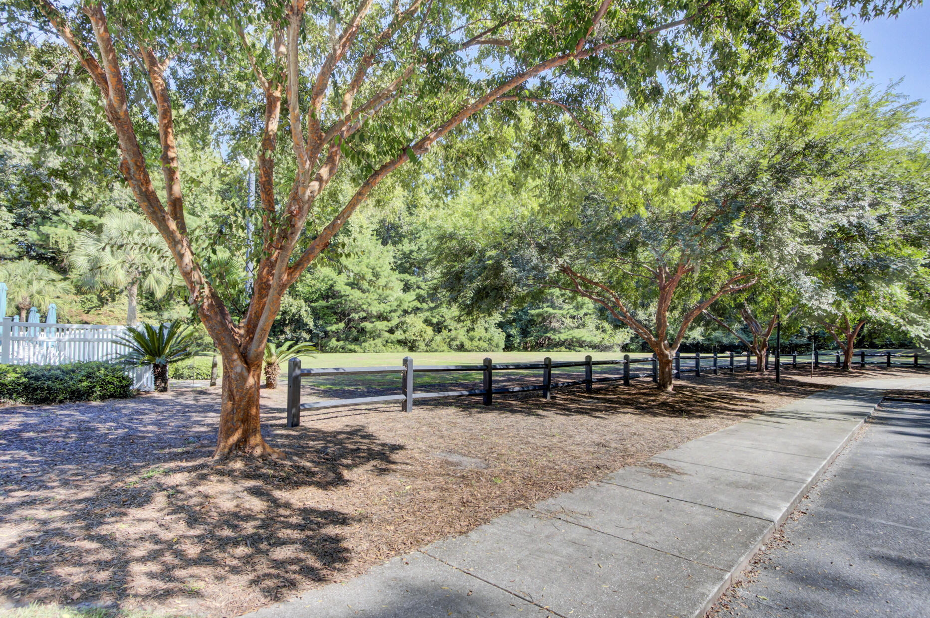 123 Oakbluff Road Summerville, SC 29485 - Photo 46 of 49 (9)