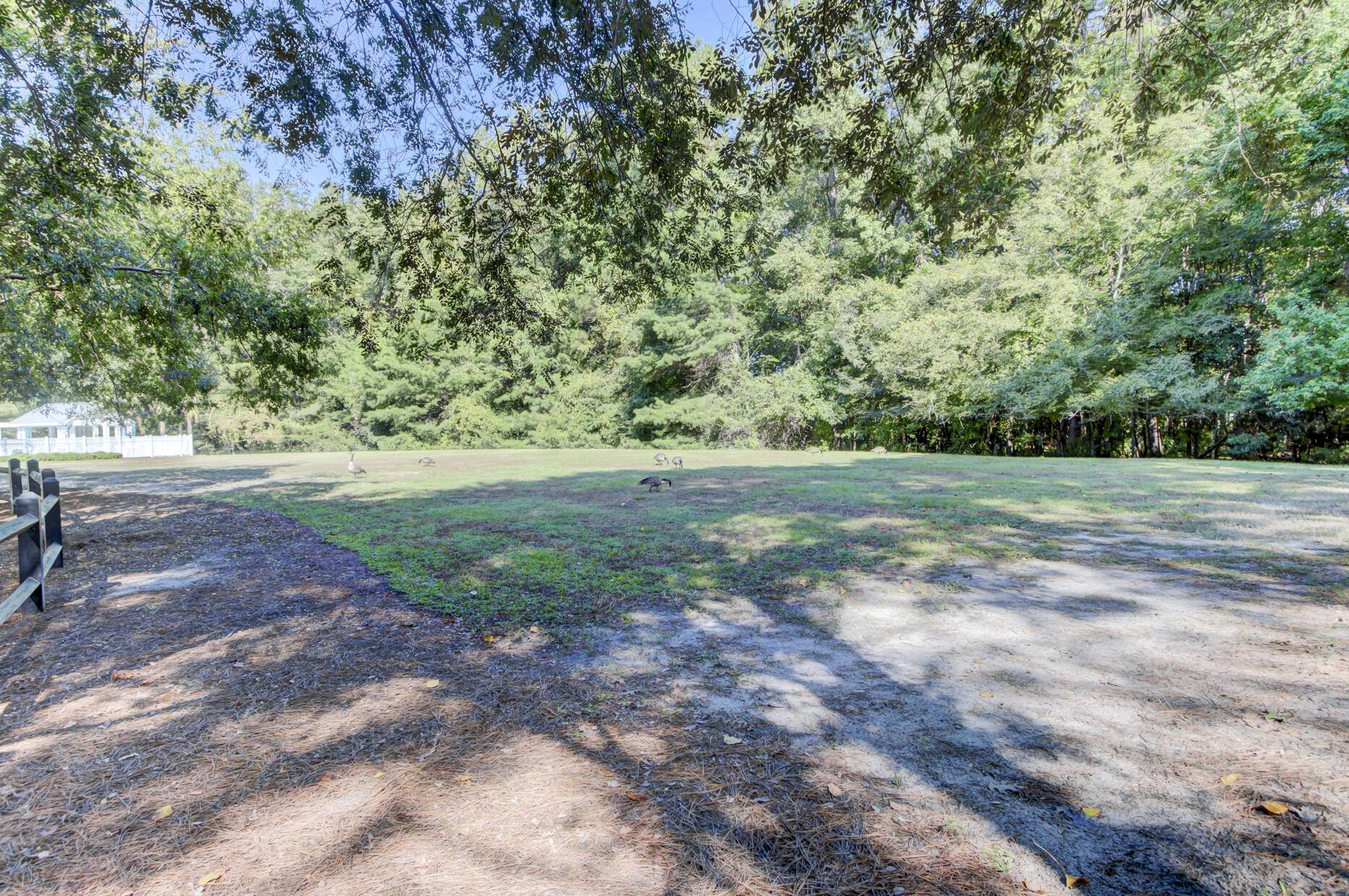 123 Oakbluff Road Summerville, SC 29485 - Photo 49 of 49 (12)