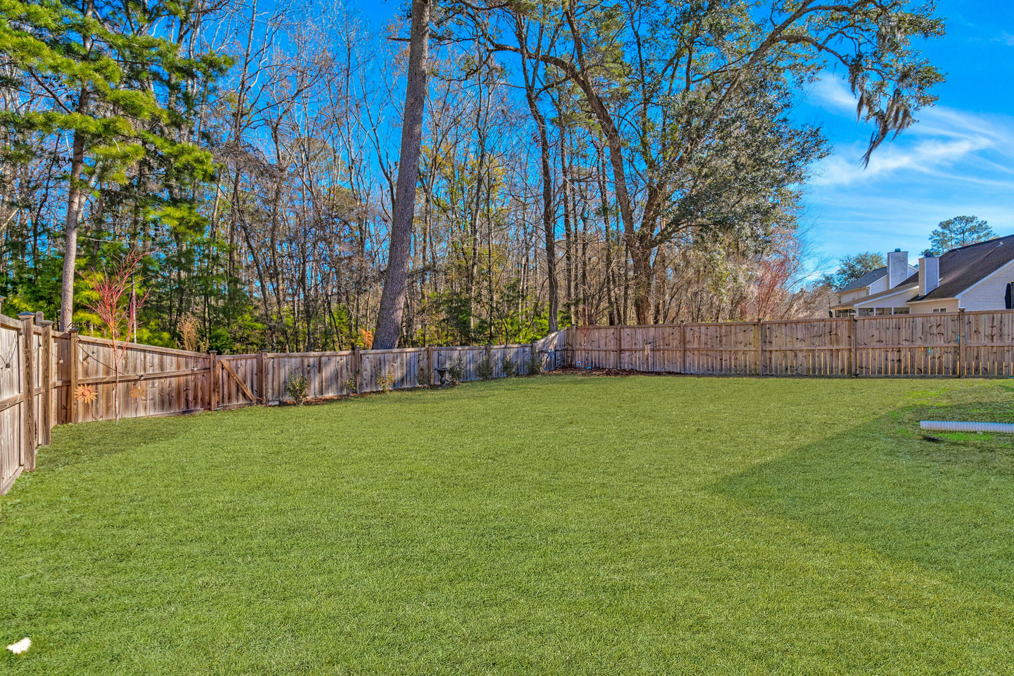 123 Oakbluff Road Summerville, SC 29485 - Photo 6 of 49 32