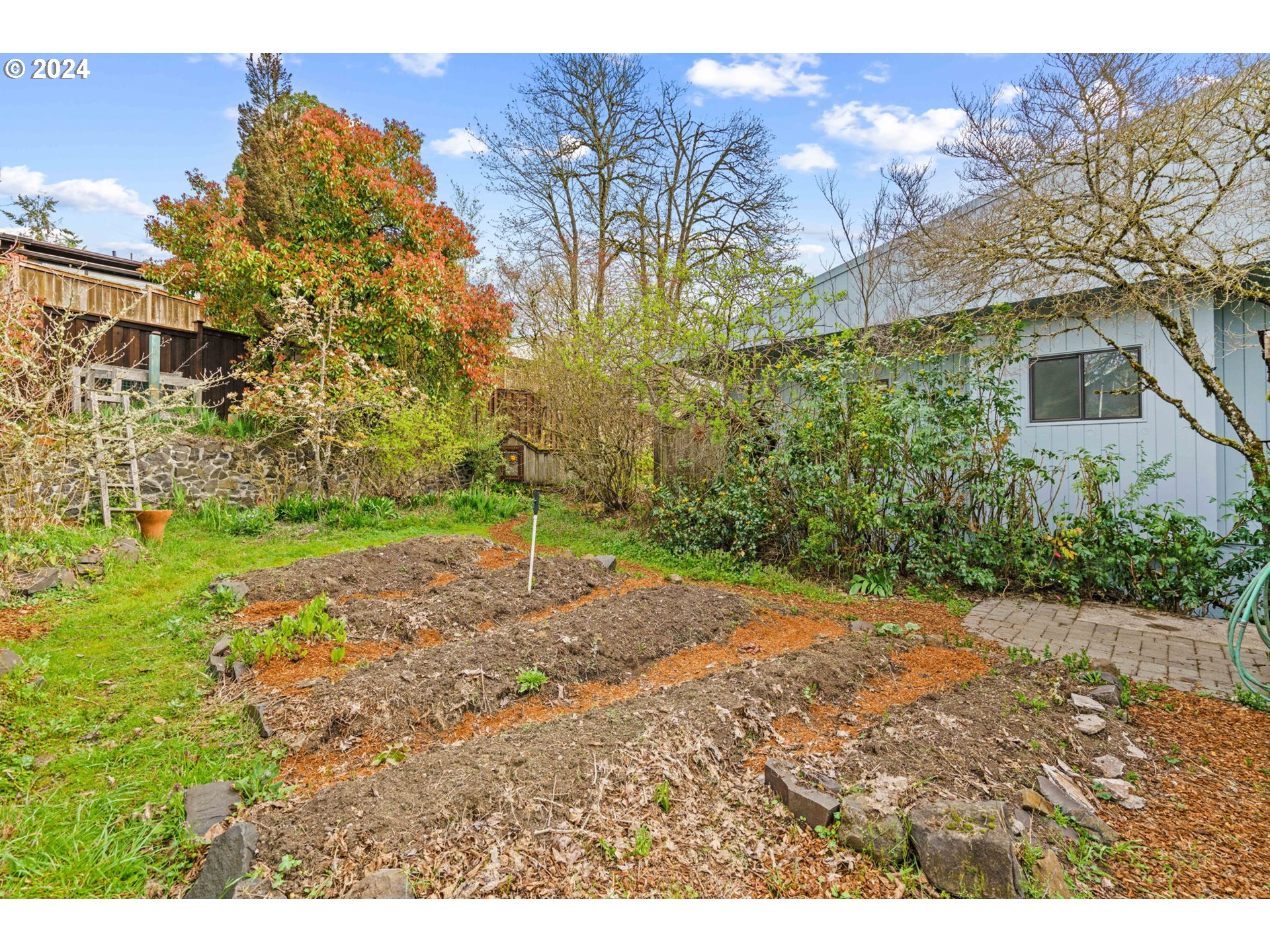 436 West D Street Springfield, OR 97477 - Photo 37 of 42 a view of a yard with plants and trees