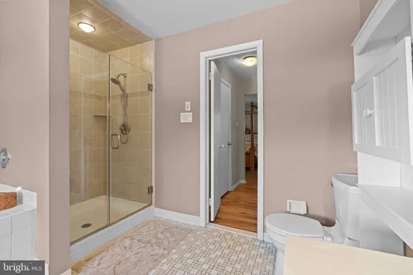 a bathroom with a shower and toilet