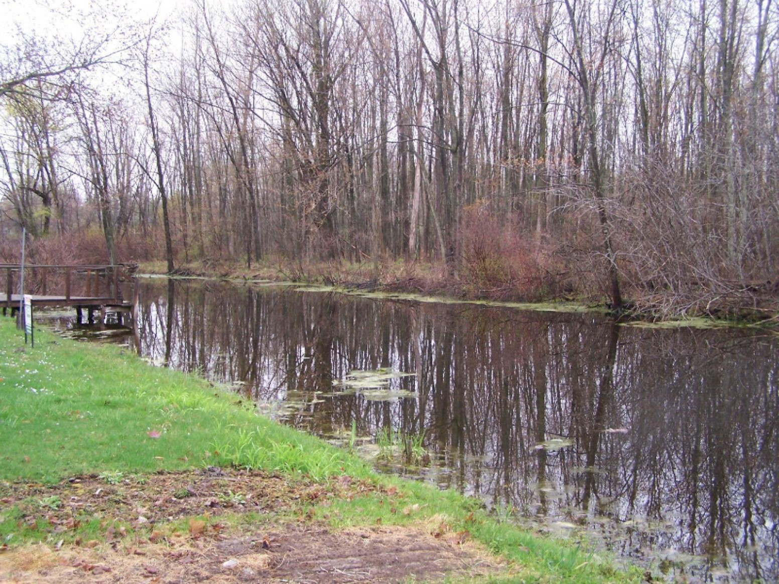 520 Gaskill Road Hastings, MI 49058 - Photo 9 of 28 100_6396