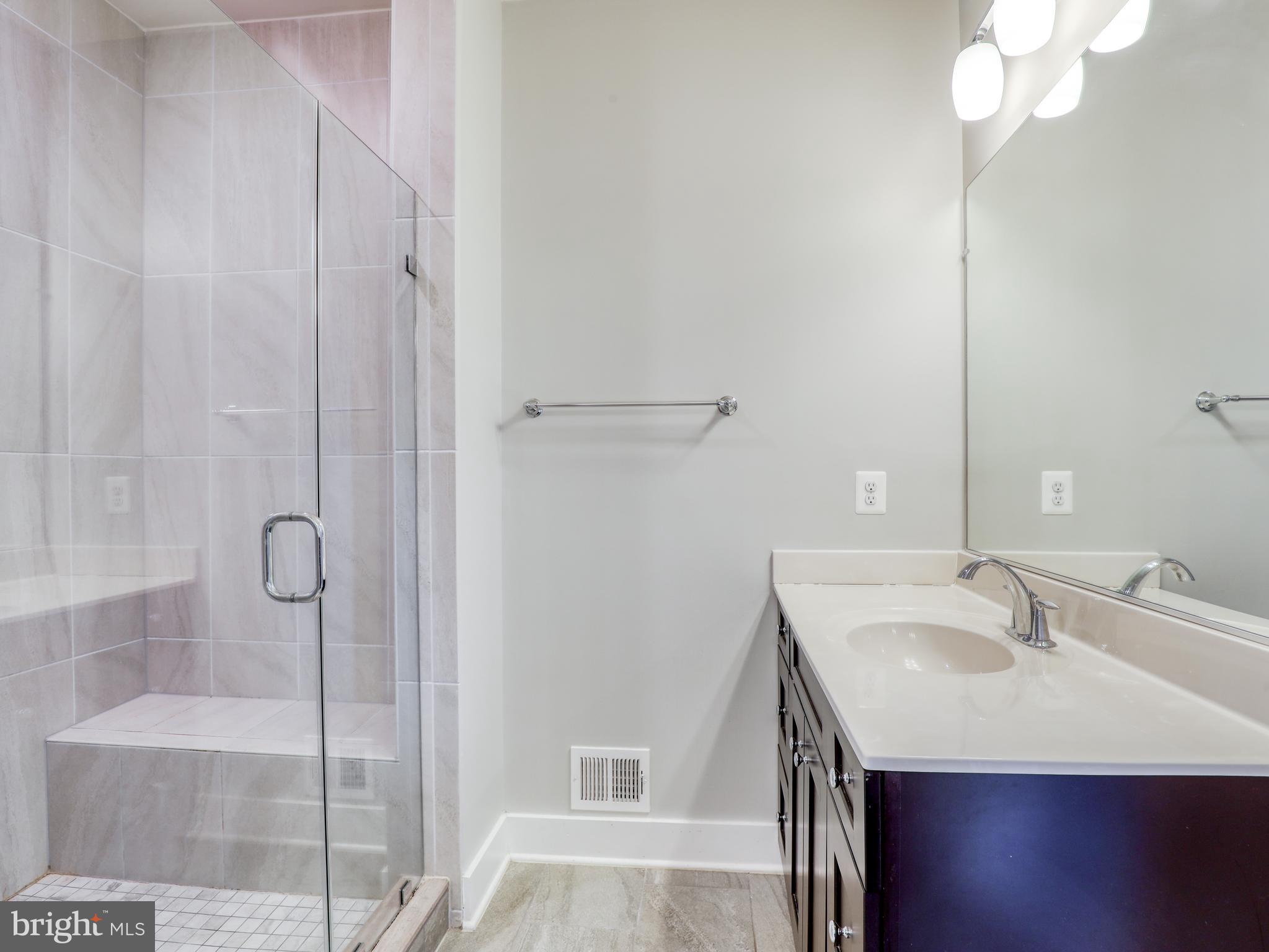 44852 Tiverton Square Ashburn, VA 20147 - Photo 18 of 45 Primary bathroom with luxurious shower