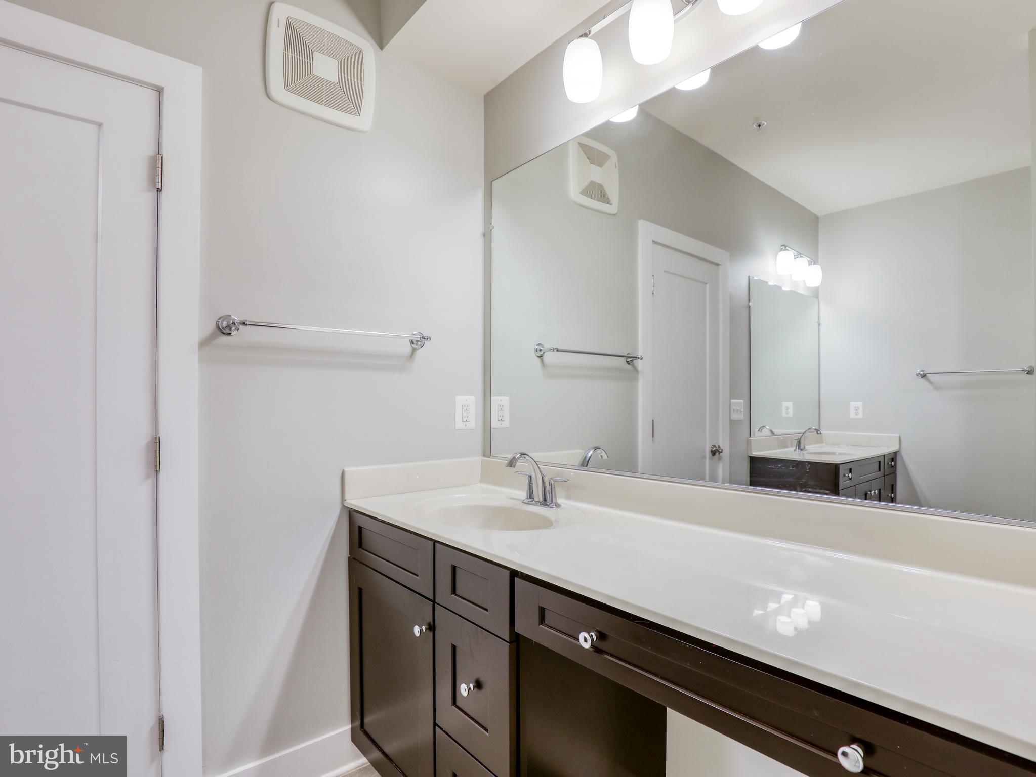 44852 Tiverton Square Ashburn, VA 20147 - Photo 19 of 45 Primary bathroom with luxurious shower