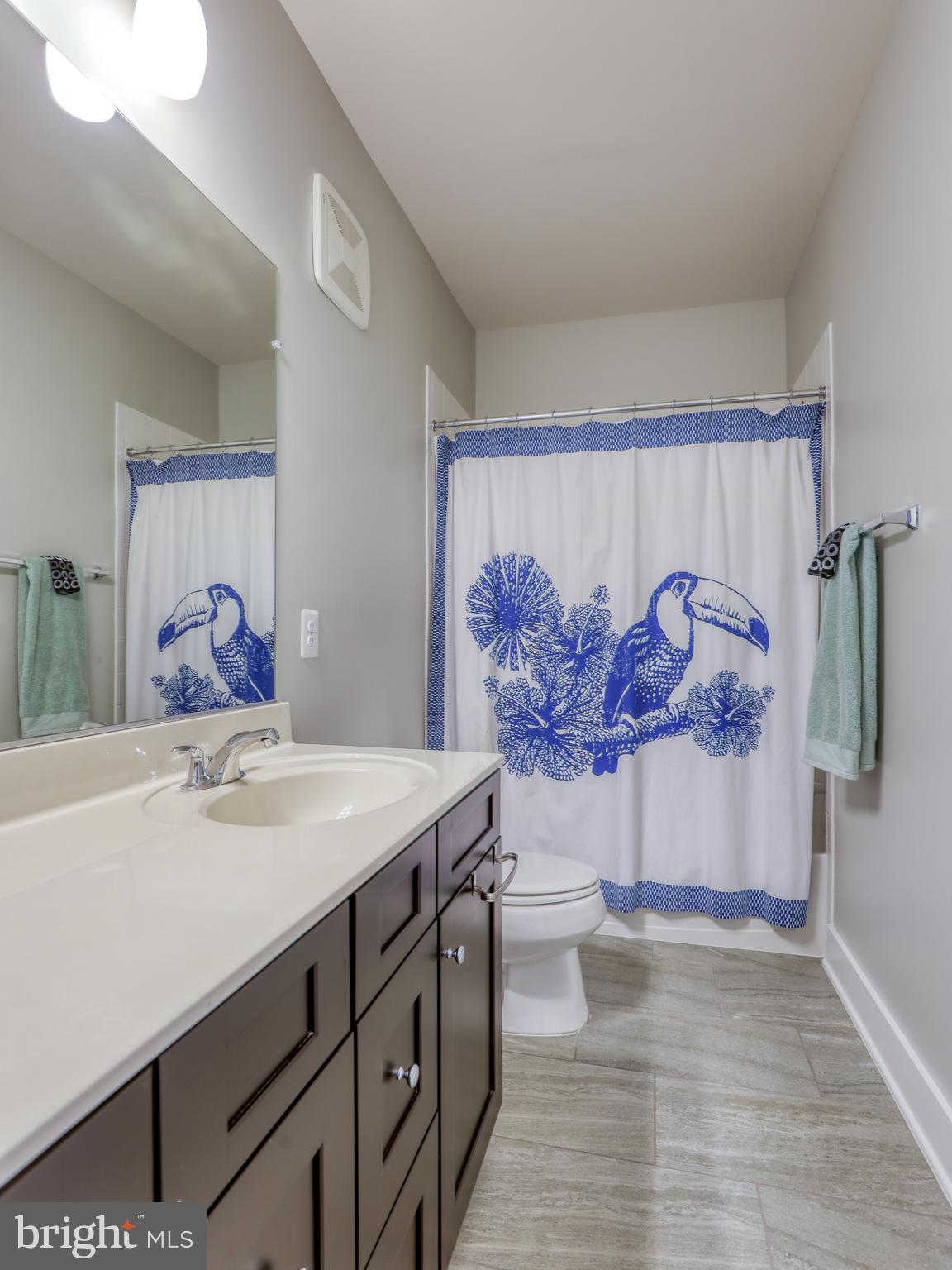 44852 Tiverton Square Ashburn, VA 20147 - Photo 24 of 45 Ha;ll bath