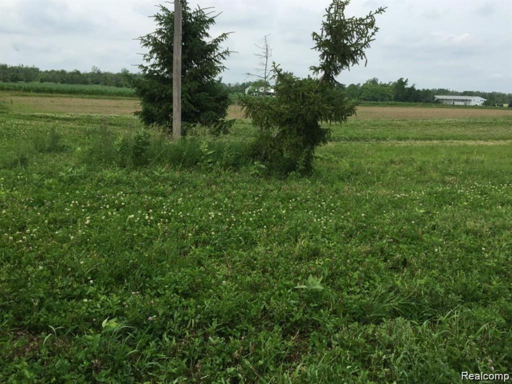 6350 Wolf Road Brown City, MI 48416 - Photo 27 of 42