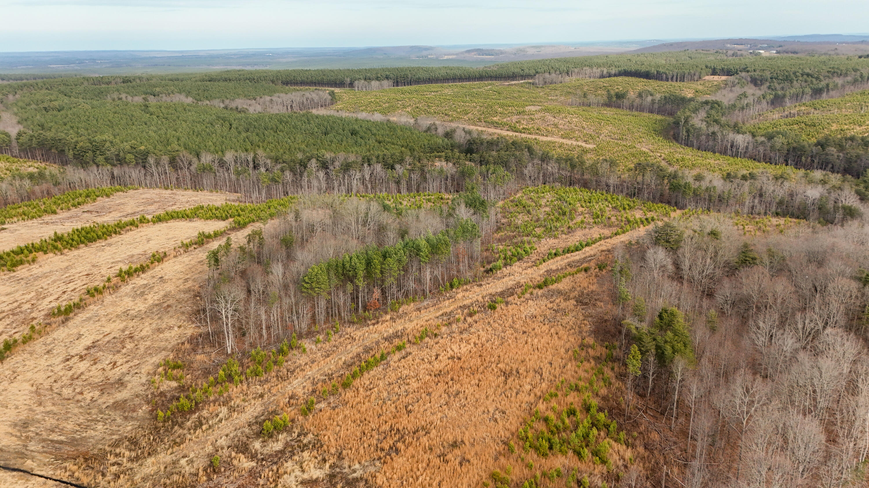0 State Rt 399 Dunlap, TN 37327 - Photo 6 of 14 Longview-4