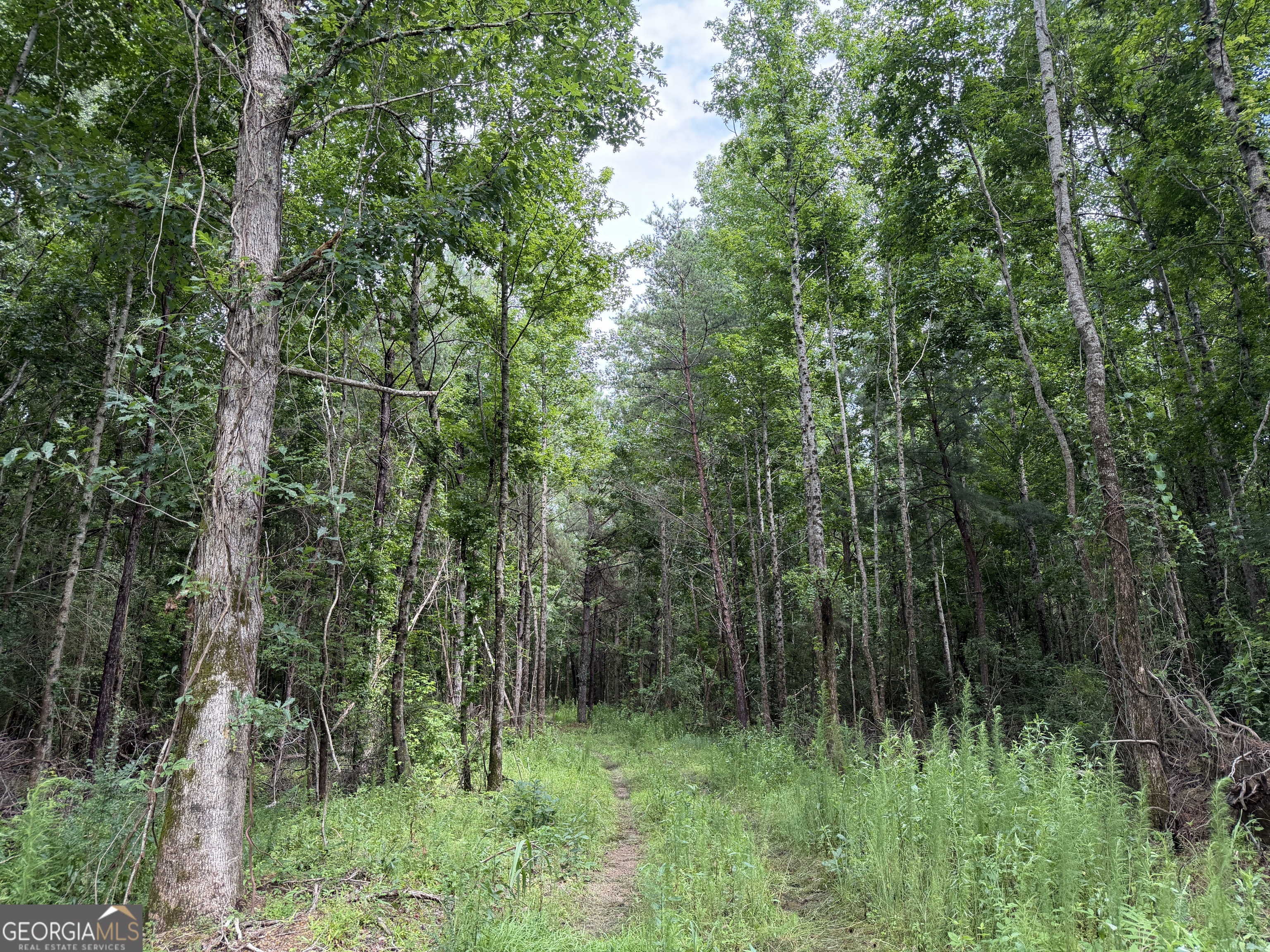 4 County Rd 445 Haleyville, AL 35565 - Photo 2 of 11