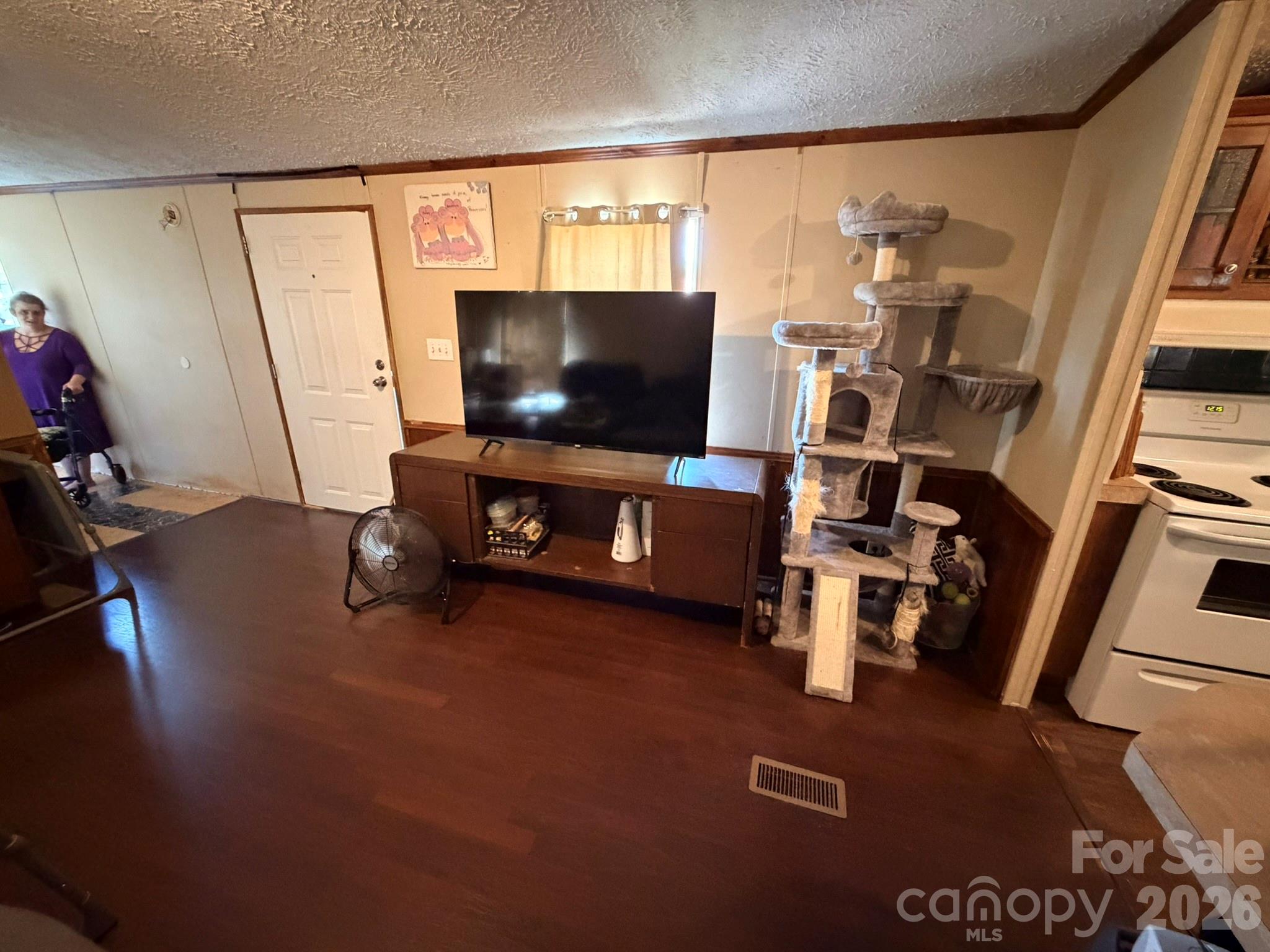 401 Webb Church Road Ellenboro, NC 28040 - Photo 6 of 21 a living room with furniture and a flat screen tv