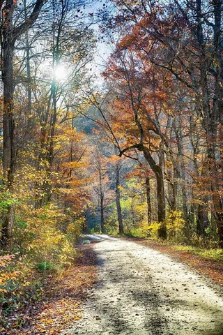 $44,900 | Lot 35 Nantahala Shores Road, Topton, NC 28781